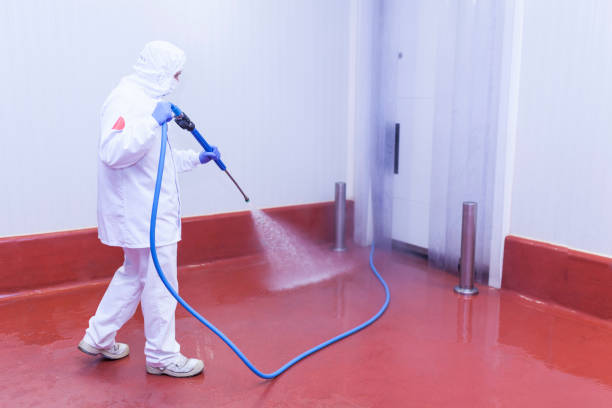 Best House Exterior Washing  in Vley Grande, AL