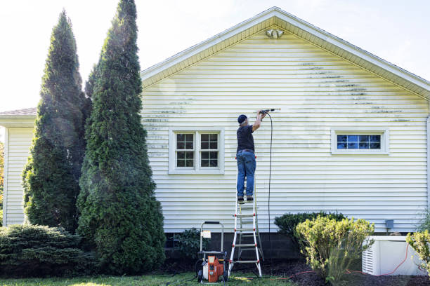 Best Fence Cleaning  in Vley Grande, AL